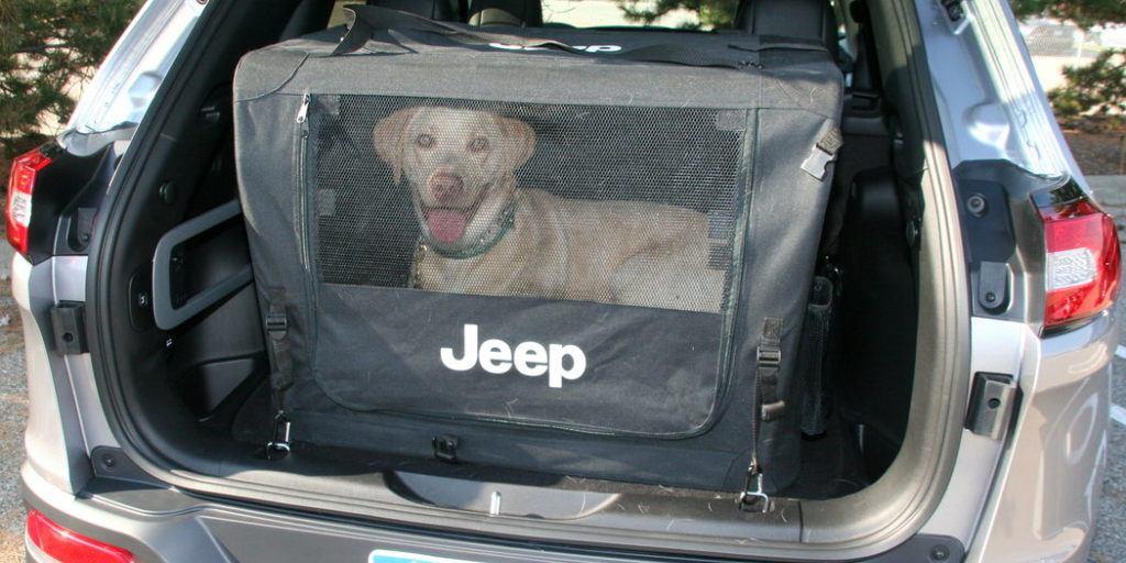 The 4 Best SUVs for Dog Owners News