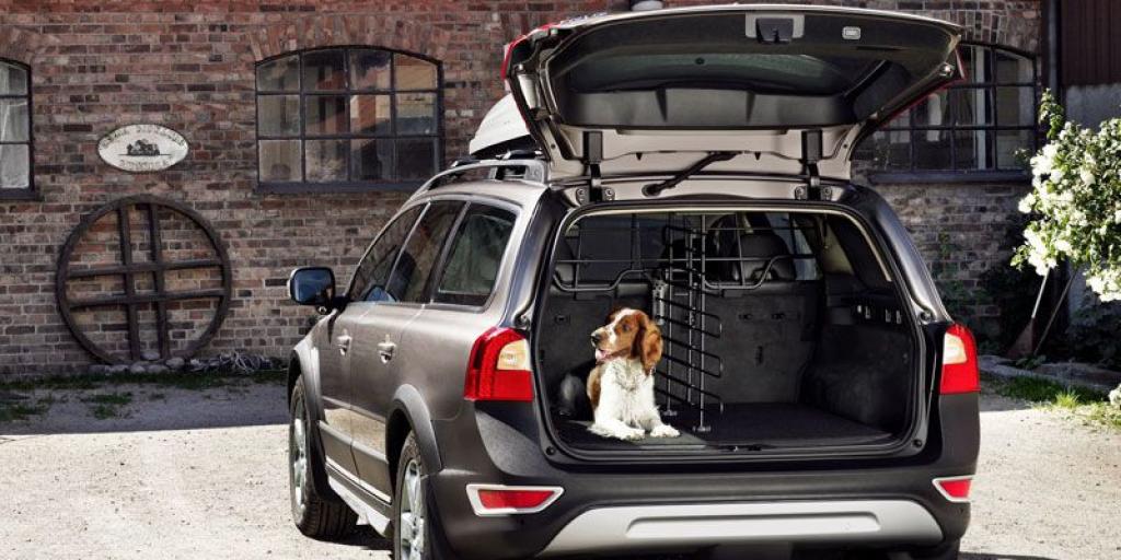 The 4 Best SUVs for Dog Owners News